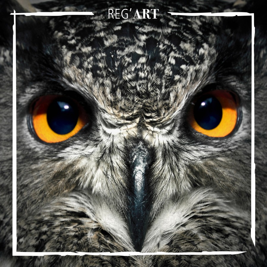 OEIL DE L HIBOU